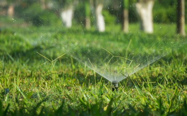 A sprinkler system watering a lush green grass field outdoors during daytime.